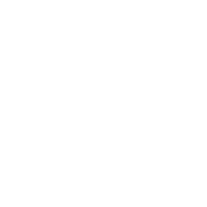 Walker Auctions Logo White